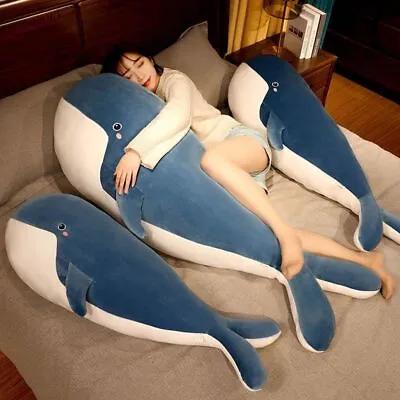 £9.31 • Buy Animal Doll Whale Shark Stuffed Toys Giant Whale Plush Toy Whale Pillow Cushion~