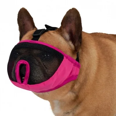 £6.85 • Buy Muzzle For Short Nosed Breed Dog Trixie Full Face - Pink Or Grey In 4 Sizes NEW!