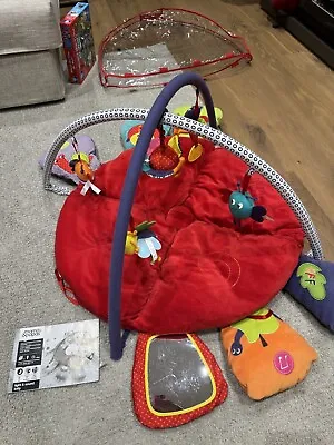 Baby Play Mat Activity Gym Used • £25