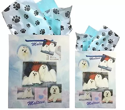 New Maltese Gift Bags Set Of Two With Tissue Paper By Ruth Maystead  • $14.99