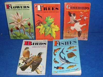$12.95 • Buy Lot Of 5 GOLDEN PRESS Golden Nature Guide FISHES Trees BIRDS Flowers GAMEBIRDS