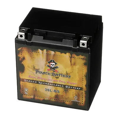 YTX30L-BS  High Performance - Maintenance Free - Sealed AGM Motorcycle Battery • $69.90