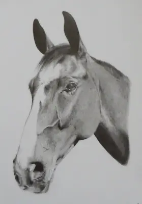 Original Equestrian Fine Tonal Pencil Drawing Of A Horse Head Portrait • £189.99