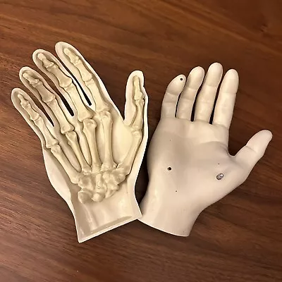 Vintage Anatomical Hand Model Bones Anatomy Medical Skeleton • $35