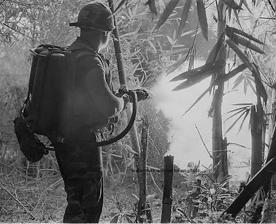 U.S. Soldier Clears An Area Using His Flamethrower 8 X 10  Vietnam War Photo #5 • $7.43