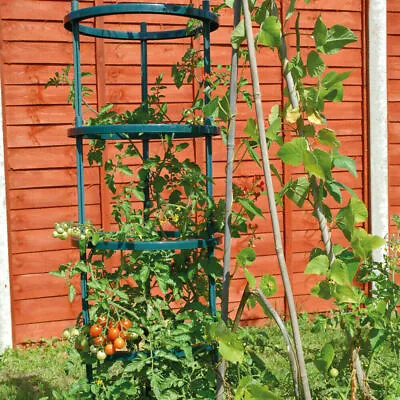 £14.99 • Buy T&M Garden Climbing Tomato Flower Plant Vegetable Grow Support Frame Cage NEW