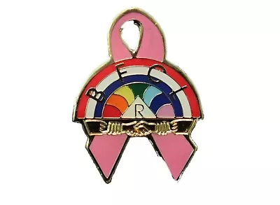 Rainbow Girls Breast Cancer Masonic Freemason Lapel Pin • $6.95