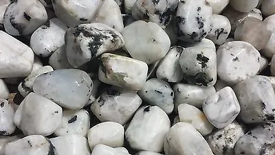 Rainbow Moonstone Tumbled Stone (1) Medium/large Natural Tumble Stone • $2.49