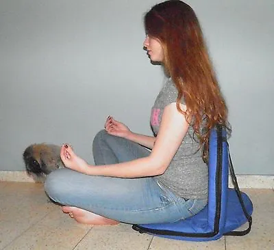 Blue Chair Fold Yoga Meditation Vipassana Floor Bleacher Stadium Lower Back Supp • $95