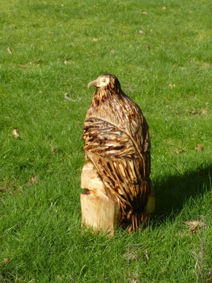 £70 • Buy Chainsaw Carved  Eagle