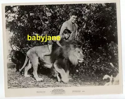 Mike Henry Manuel Padilla Jr Orig 8x10 Photo 1966 Tarzan And The Valley Of Gold • $24.99