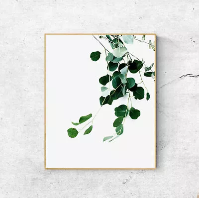 $44.55 • Buy Eucalyptus Botanical Wall Art Print. Great Greenery Home Decor