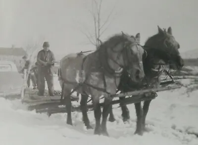 Vintage 1943 Man With Horse Drawn Equipment In Snow PHOTO • $7.95