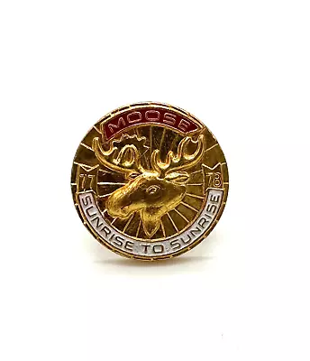 🫎  Moose Sunrise To Sunrise Gold/Red Round Lapel Pin 5/8  Diameter BP3 • $5.01