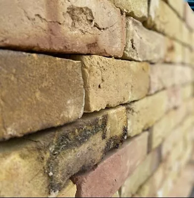 Reclaimed Bricks/ Yellow Stock Reclaimed Bricks/  New London Bricks • £1