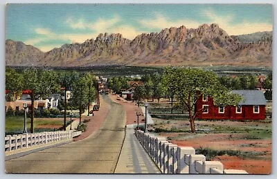 Postcard Organ Mountains And Viaduct Las Cruces New Mexico Unposted • $6.50