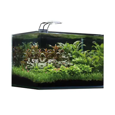 Dennerle Nano Scapers Aquarium 35L Aquascaping Fish Tank Panoramic Rounded Front • £71.42