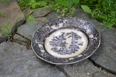 ANTIQUE PODMORE WALKER COREAN MULBERRY STAFFORDSHIRE PORCELAIN  7-5/8  Plate  • $14