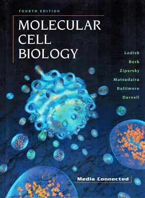 MOLECULAR CELL BIOLOGY Lodish Harvey & Arnold Berk & Lawrence Zipursky & Paul • $39.61