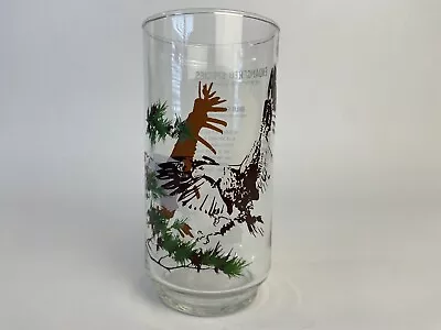 Vintage BURGER CHEF 1978 Collectors Series Glass~Endangered Species~Bald Eagle • $7