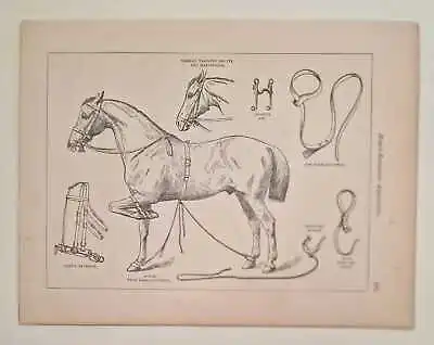 SIDNEY Horse-Breaking Appliances (1878 Horse Print) • £8.95