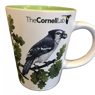 The Cornell Lab Of Ornithology Blue Jay On Branch Mug Green Inside Coffee • $21.95