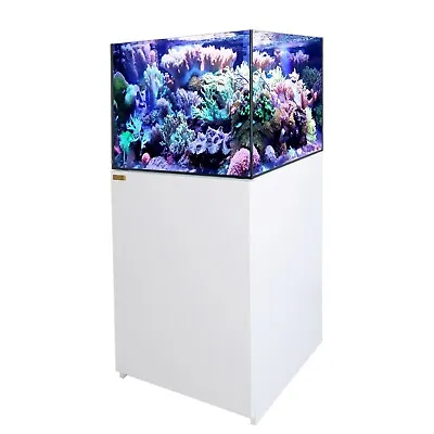 90 Gallon White Coral Reef Aquarium Tank Ultra Clear Transpare Glass With Sump • $2259.99