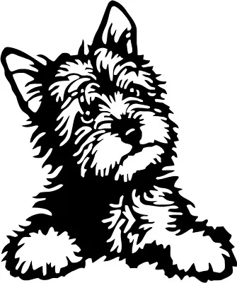 Yorkie Poo Puppy VINYL DECAL Car Sticker Pet Dog Collar Animal Cute BUMPER 4  • $3.75