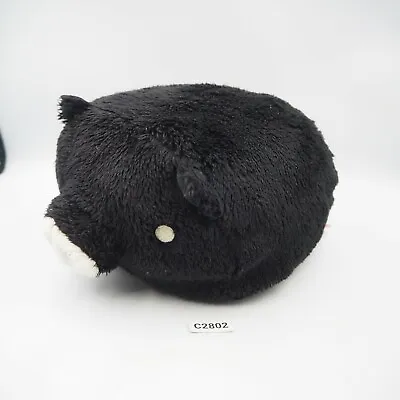 Monokuro Boo Black Pig C2802 San-x Plush 6  Beanie Stuffed Toy Doll Japan • $11.38
