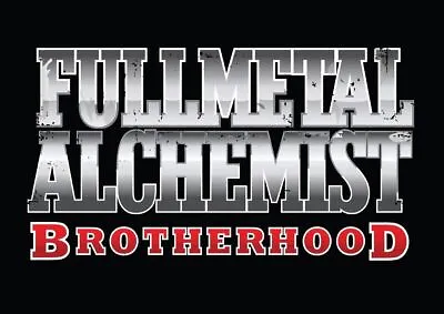 196009 FULL METAL ALCHEMIST BROTHERHOOD ANIME MANGA Wall Print Poster • $13.95