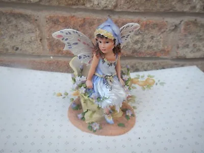 The Leonardo Colection Faerie Poppets Daydreaming  Magic Fairy Figurine • £17.99