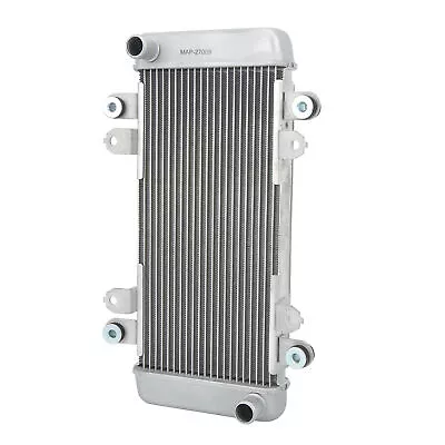 ・Motorcycle Radiator Cooler Cooling Water Tank Assembly Aluminum For 300 • $90.40