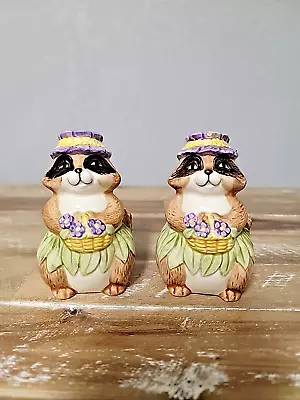 Otagiri Japan Mary Ann Baker 2 Hand Painted Raccoon Flower Salt & Pepper Shaker • $11.05