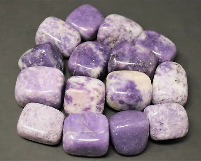 1/4 Lb Bulk Lot Lepidolite Tumbled Stone (Crystal Healing Reiki Tumble) 4 Oz • $8.75