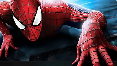 $11.99 • Buy New Marvel Spider-Man Birthday Party Supplies Tableware & Balloons Decorations