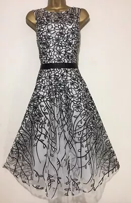 Bnwt Gorgeous Coast Silver Floral Artwork Fit Flare Midi Dress Size 12 . • £69.95