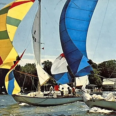 Vintage Holland MI Postcard Lake Macatawa Kollen Park Yacht Races Posted 1973 • $3.65