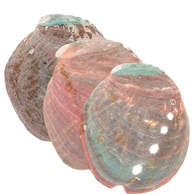  3 Pcs Shell Holder Smudging Bowl Kit Abalone For Decorative Smudge Aquarium • £6.34