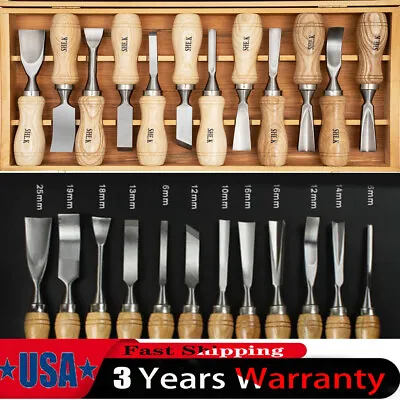 Wood Carving Hand Chisel Tool Set 12pcs Professional Woodworking Gouges Tools US • $34.20