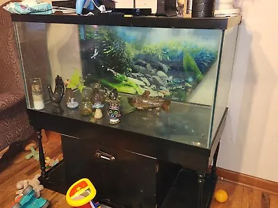 125 Gallon Fish Tank • $600