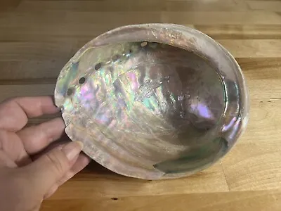 Abalone Shell Large • $25
