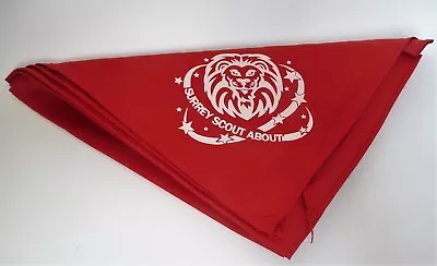 £4.99 • Buy Surrey Scoutabout Scarf / Necker - Youth Size, New Scout Event Scarf