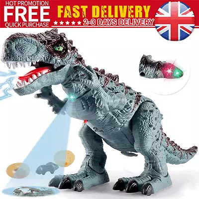 Dinosaur Toy Walking Dinosaur Roaring Dinosaur With Lights And Sound T-Rex Dino • £13.90