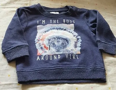 Sweatshirt Jumper Cuffed Blue Tiger Long Sleeve  F&F Up To 3 Months Baby Boys • £1.20
