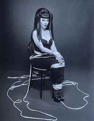 Vintage Photo Cassandra Peterson Elvira Mistress Of The Dark By Bobbie Kitchens • $650