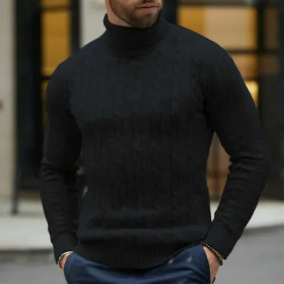 Men Winter Warm Solid Knitted Turtleneck Pullover Sweater Slim Jumper Casual Top • $25.06