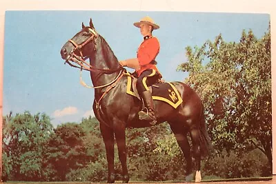 Canada Royal Canadian Mounted Police Postcard Old Vintage Card View Standard PC • $0.50
