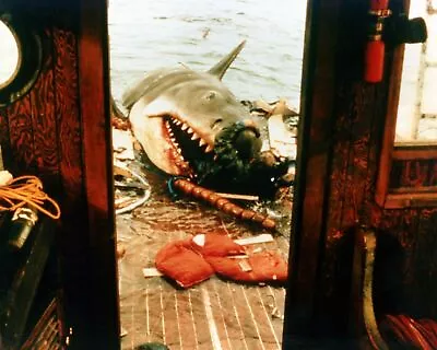 Jaws Bruce The Shark Biting His Way Through Orca Stern 8x10 Inch Photo • $10.99