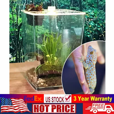 Acrylic Reptile Terrarium Gecko Lizard Snake Spider Vivarium Cage Tank • $31.35