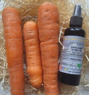 Carrot Organic Body Oil Face Natural Tanning Oil With Vitamin E Handmade-100ML • £12.99